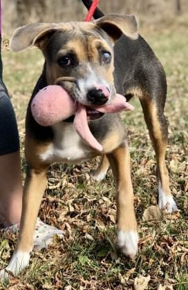 Ellie